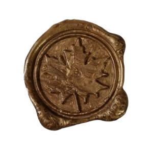 Esdoorn blad / Maple leaf